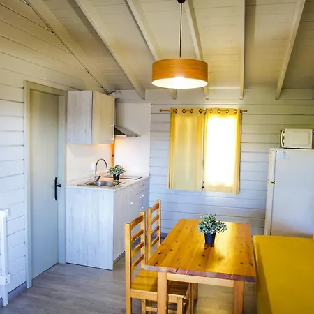 Campsite Camping La Llosa