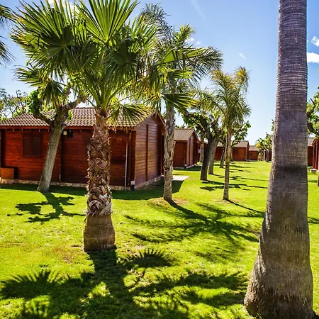 Camping La Llosa Campsite *